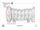 301/83-87 Esplanade, Bargara QLD 4670 Floorplan