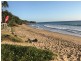 41/107 Esplanade, Bargara QLD 4670
