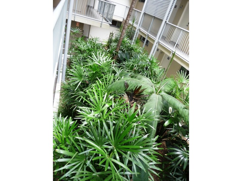 Unit 210 The Point, 23 Esplanade, Bargara QLD 4670