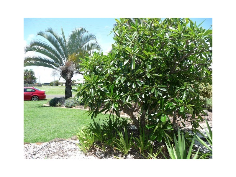 11 Palm Street, Innes Park QLD 4670