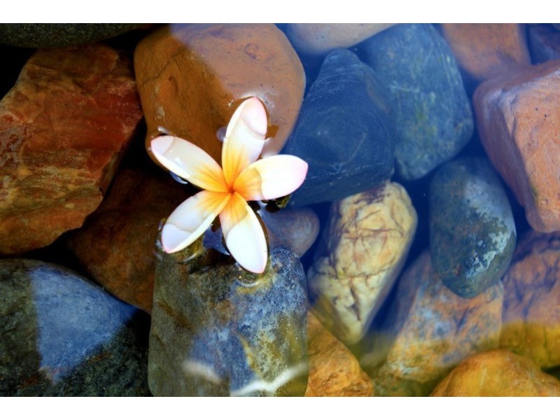 102 Davidson Street, Bargara QLD 4670