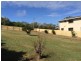 12 Hilltop Avenue, Qunaba QLD 4670