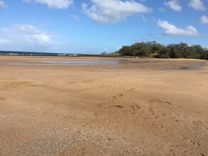 4 Flametree Court, Bargara QLD 4670