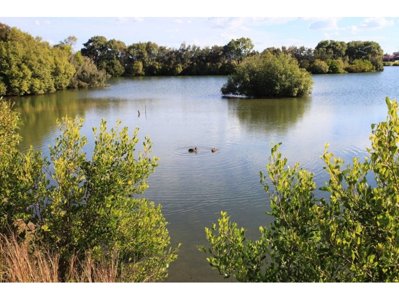 19/1 Waimarie Street, Bargara QLD 4670