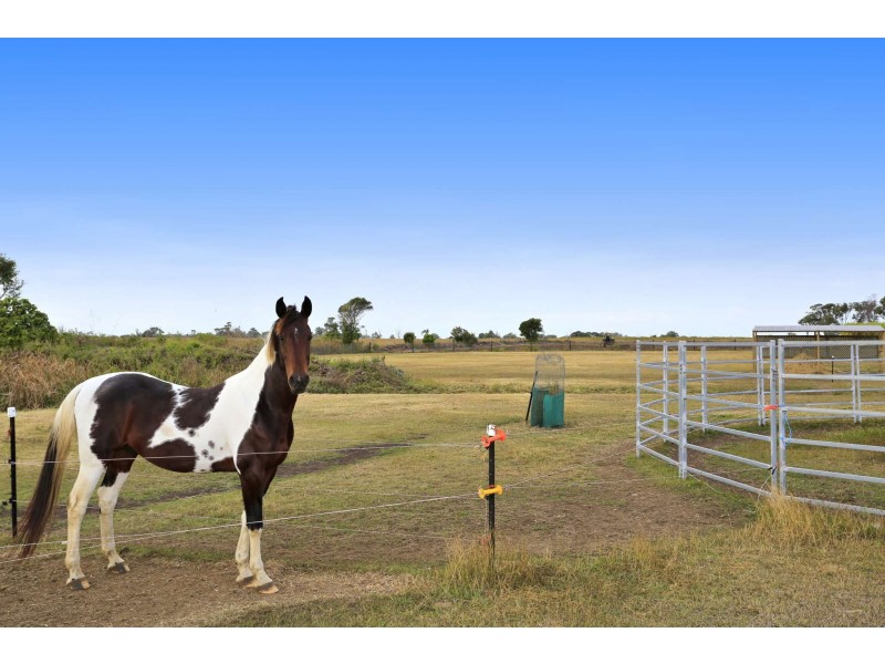 1021- D Elliott Heads Road, Innes Park QLD 4670