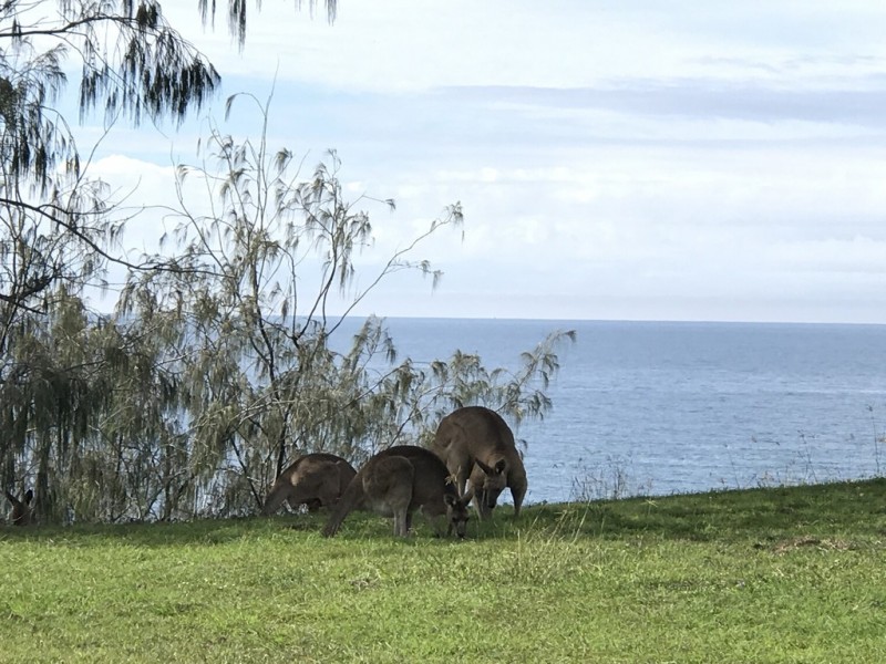 132 Barolin Esplanade, Coral Cove QLD 4670