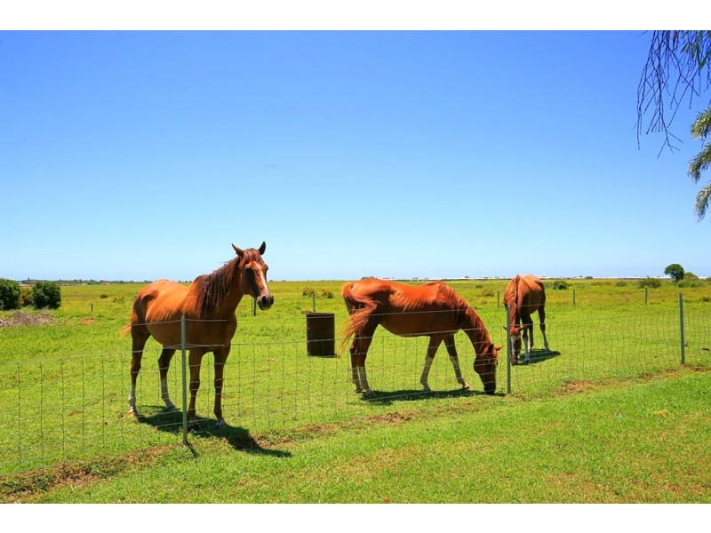 239 Seaview Road, Bargara QLD 4670