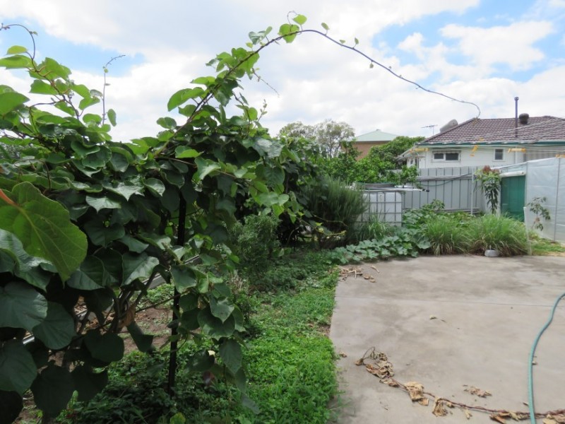 64 Marlborough Street, Smithfield NSW 2164