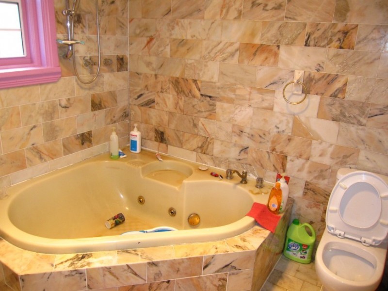 24 Moore Street, Canley Vale NSW 2166