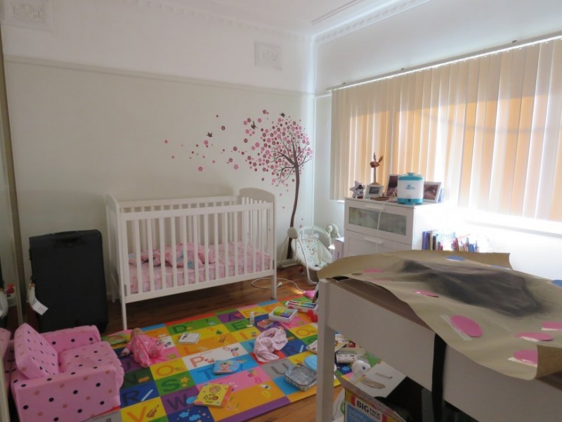 288 Canley Vale Road, Canley Heights NSW 2166