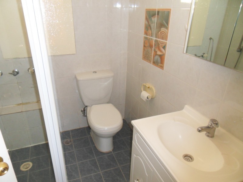 Mount Pritchard NSW 2170