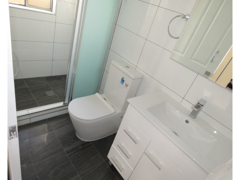 8 Cook Ave, Canley Vale NSW 2166