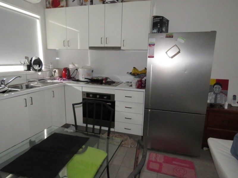 119 Arbutus Street,, Canley Heights NSW 2166