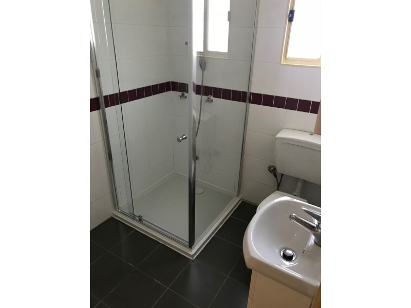 12 Freeman Ave, Canley Vale NSW 2166