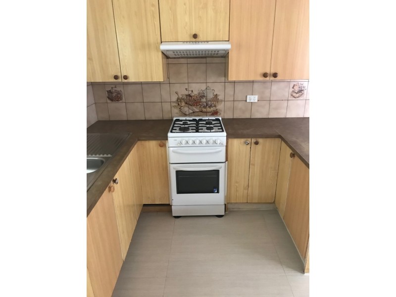 12 Freeman Ave, Canley Vale NSW 2166