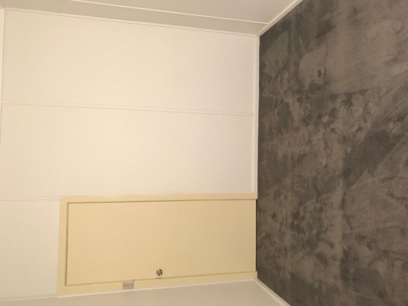 12 Freeman Ave, Canley Vale NSW 2166