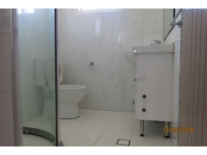 20 Moonshine Avenue, Cabramatta West NSW 2166