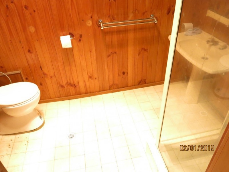 43 Kirrang Avenue, Villawood NSW 2163