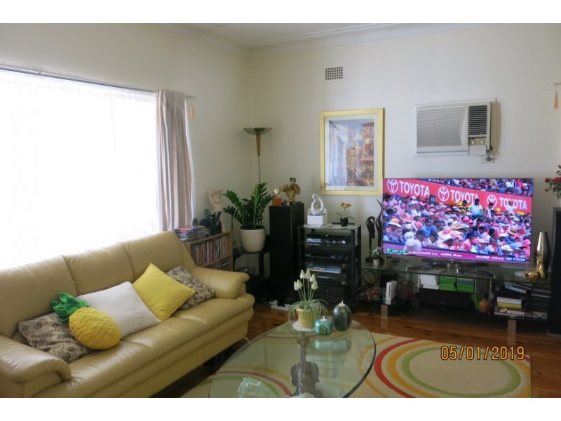 20 Clarence Street, Canley Heights NSW 2166