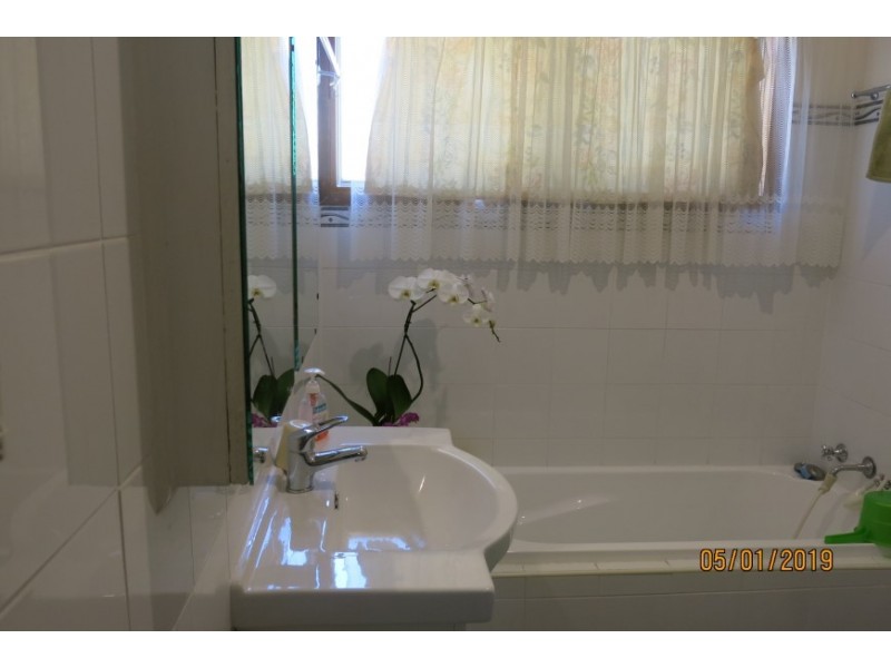 20 Clarence Street, Canley Heights NSW 2166