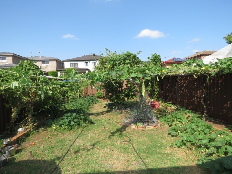 Cabramatta West NSW 2166