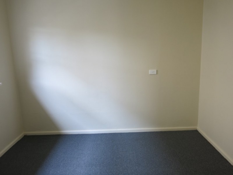 94 The Avenue, Canley Vale NSW 2166