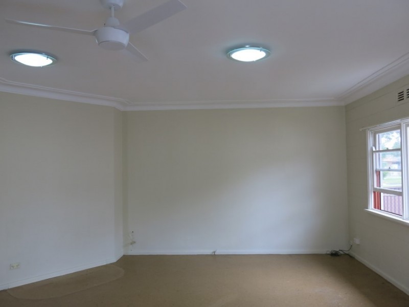 94 The Avenue, Canley Vale NSW 2166