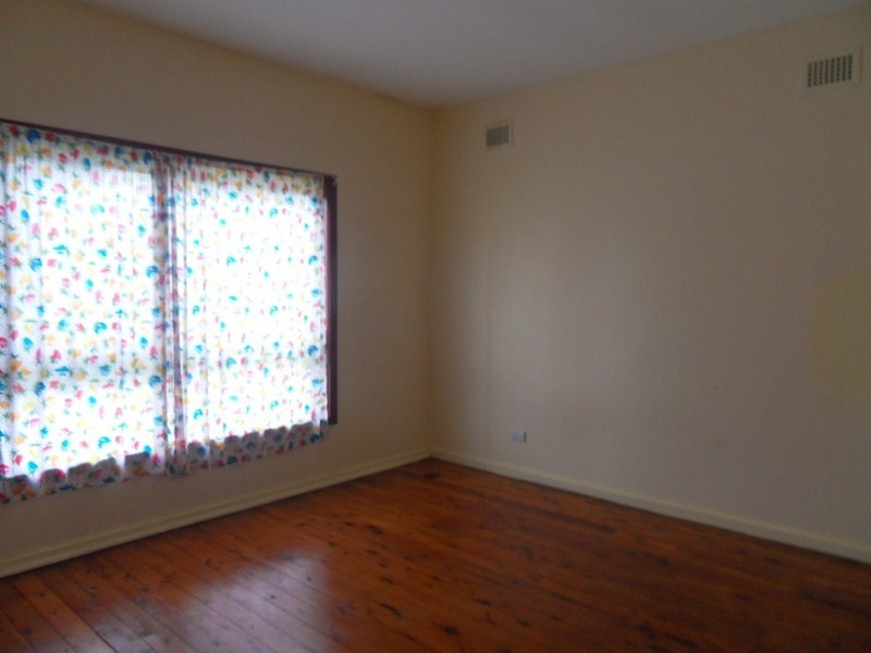 20 Warwick Avenue, Cabramatta NSW 2166