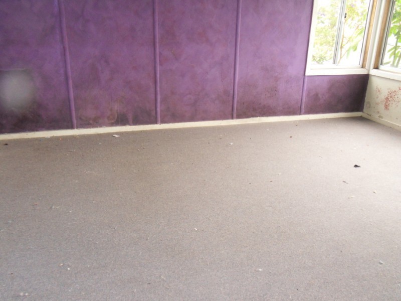 36 Clack Road,, Chester Hill NSW 2162