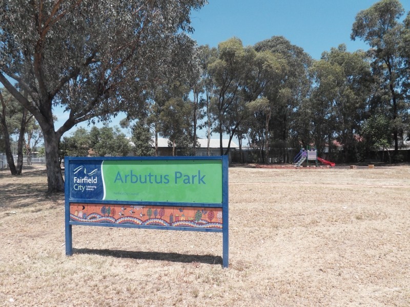 63 Arbutus Street,, Canley Heights NSW 2166