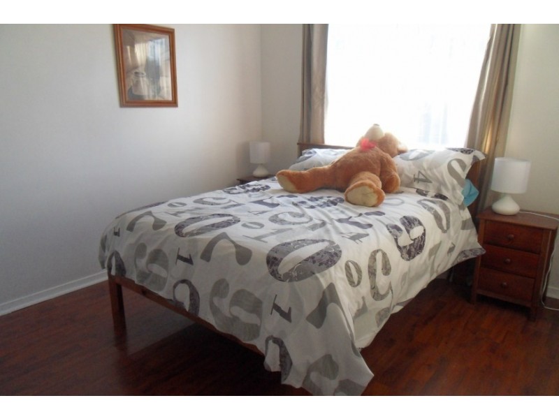 25 Warwick Avenue, Cabramatta NSW 2166