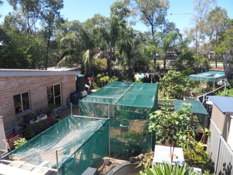 50 Alinga, Cabramatta NSW 2166