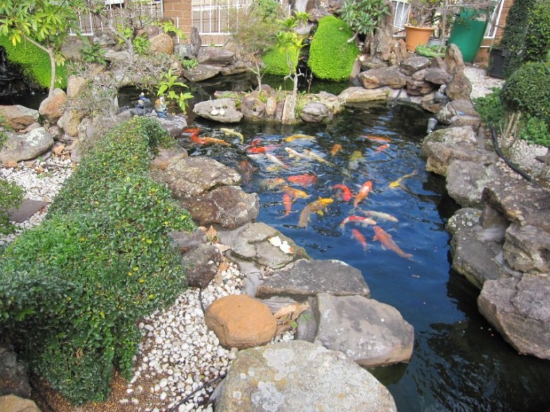 Fairfield West NSW 2165