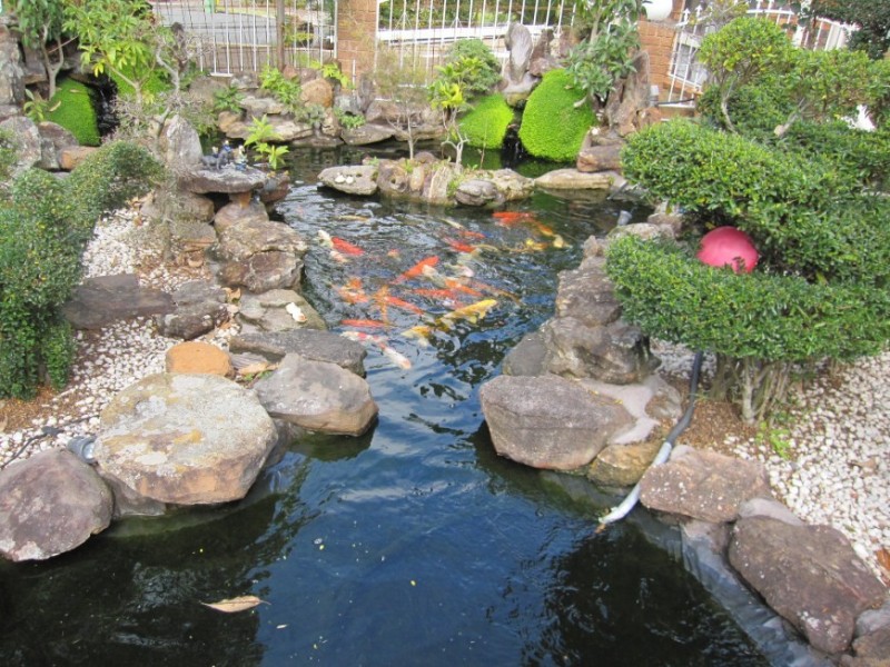 Fairfield West NSW 2165