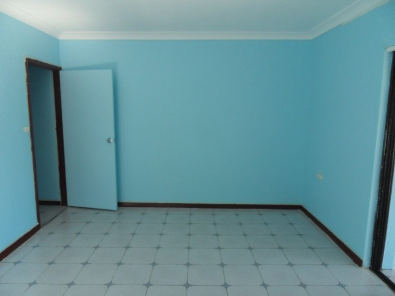 3 George Street, Canley Heights NSW 2166