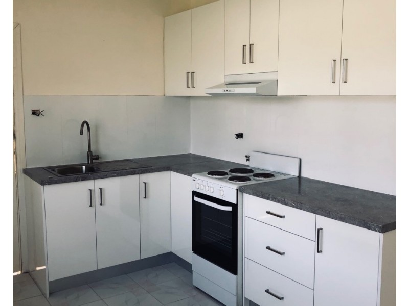 117 Arbutus, Canley Heights NSW 2166