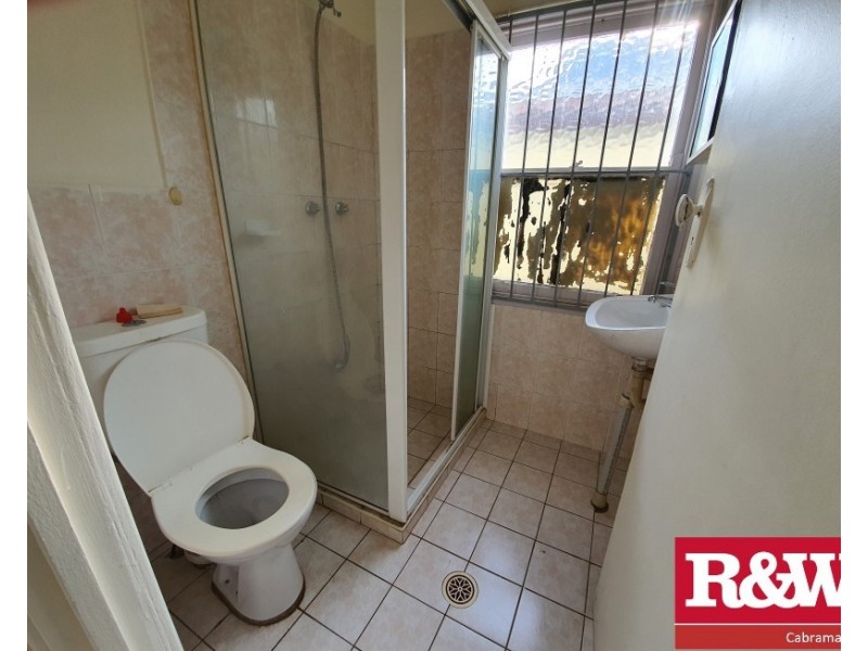 117 Arbutus, Canley Heights NSW 2166