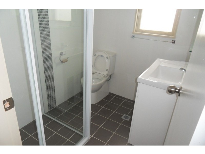 22 David Street, Mount Pritchard NSW 2170