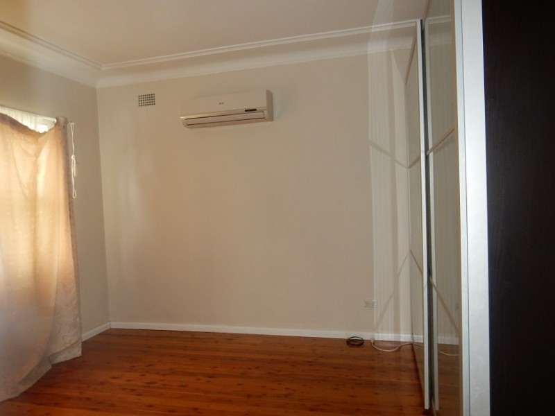 119 Arbutus Street, Canley Heights NSW 2166