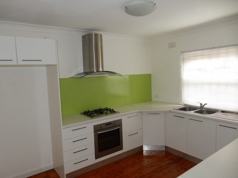 119 Arbutus Street, Canley Heights NSW 2166