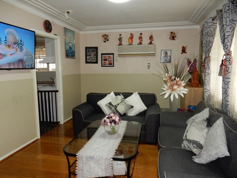 46 Ace Avenue, Fairfield NSW 2165