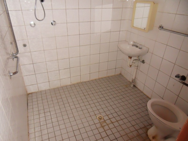 21 Beckenham, Canley Vale NSW 2166