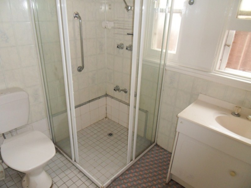 20 Lovoni Street, Cabramatta NSW 2166