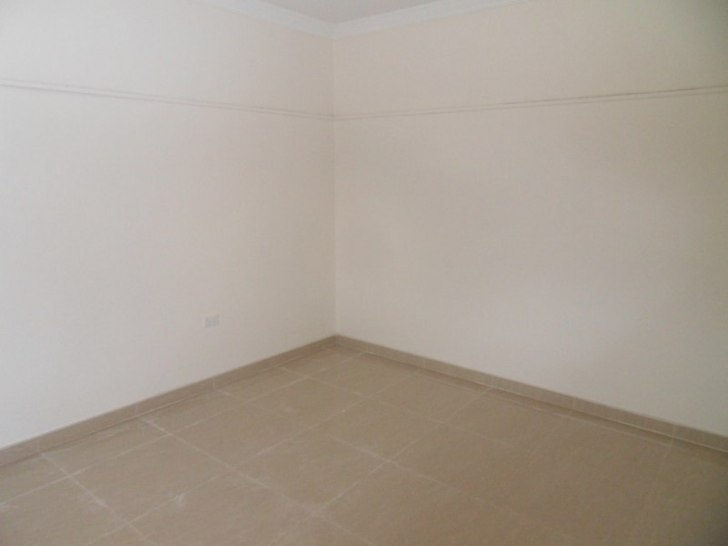 20 Lovoni Street, Cabramatta NSW 2166