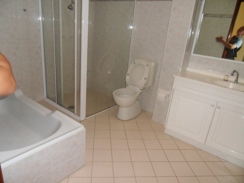 314 Elizabeth Drive, Mount Pritchard NSW 2170