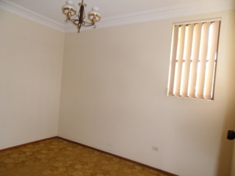 314 Elizabeth Drive, Mount Pritchard NSW 2170