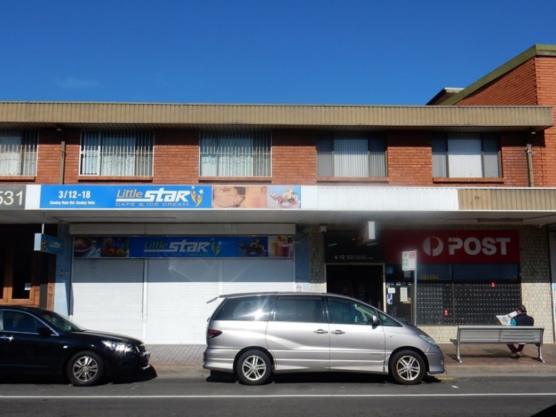 3 / 12 Canley Vale Road, Canley Vale NSW 2166