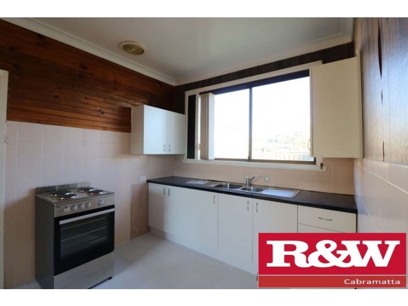 16 Anderson Ave, Mount Pritchard NSW 2170