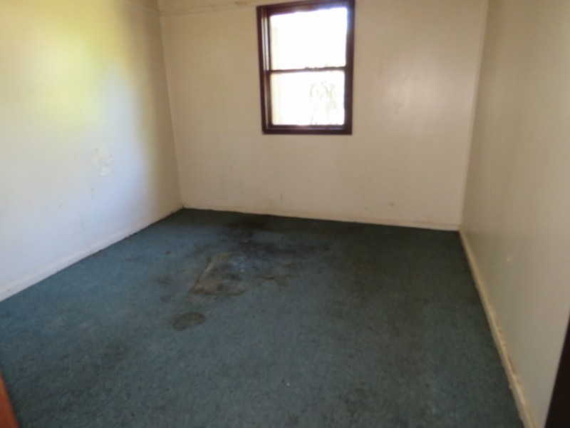 51,53 and 55 Freeman Avenue, Canley Vale NSW 2166