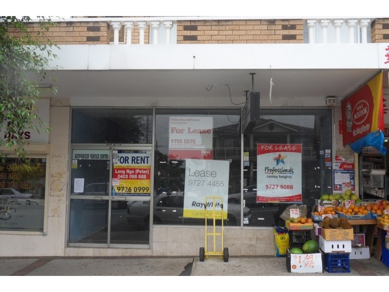 2/194 Canley Vale Road, Canley Heights NSW 2166